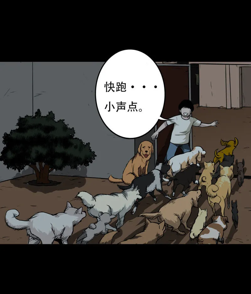 狗灵·异世界1 第46页