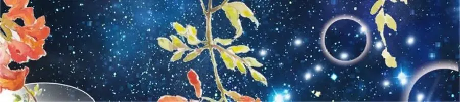 216 蛋蛋长大了 第15页