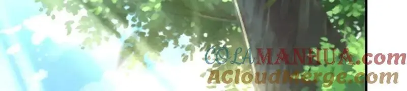 第242话 240 蛋蛋的天赋 第41页
