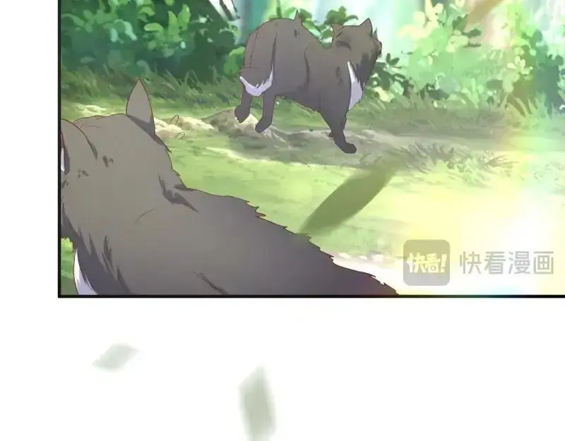 第242话 240 蛋蛋的天赋 第63页