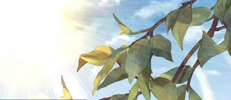第243话 241 娘子你不能离开我 第54页