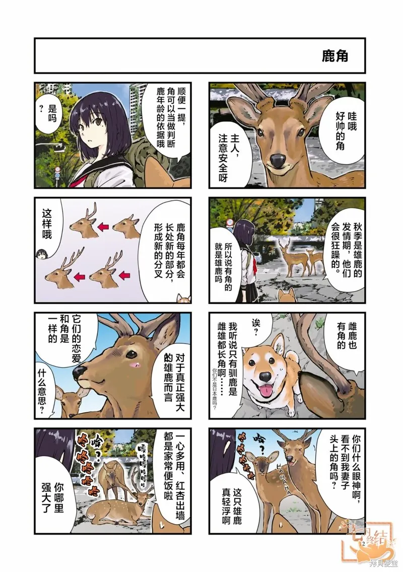 第28话 第2页