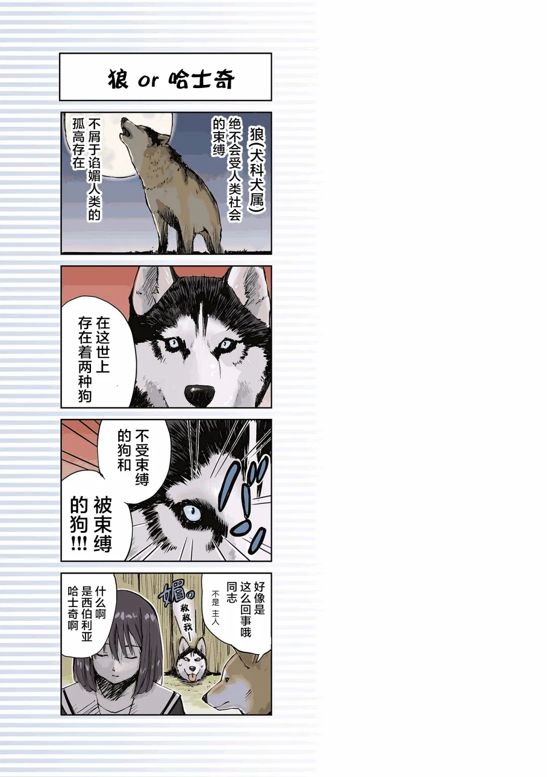 第11话 第7页