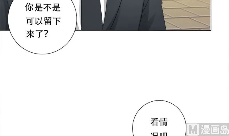 寻找父亲 第19页