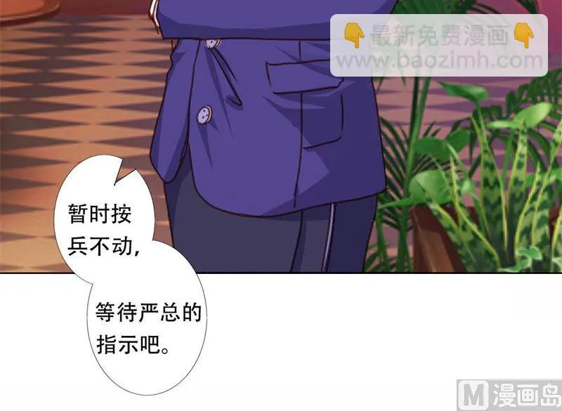 24-幕后主使是严磊 第16页