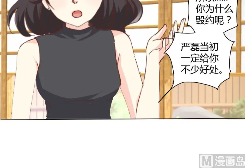 24-幕后主使是严磊 第29页