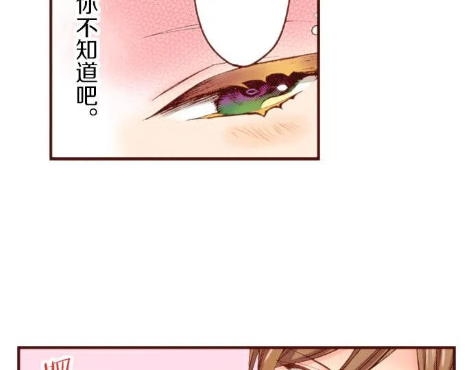 第60话 恋爱中的女人会变强！ 第67页