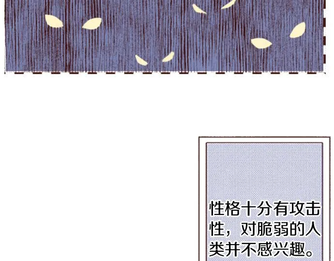 第24话 忠犬上线！ 第9页