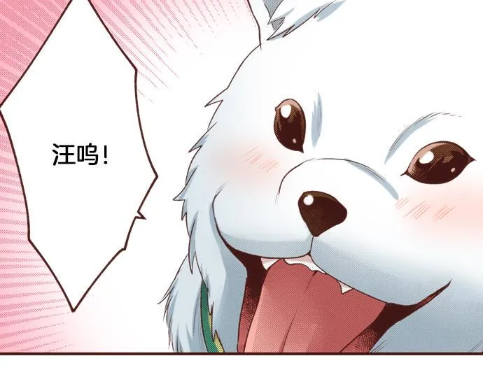 第24话 忠犬上线！ 第33页