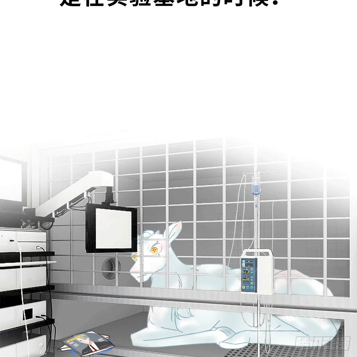 16 第3页