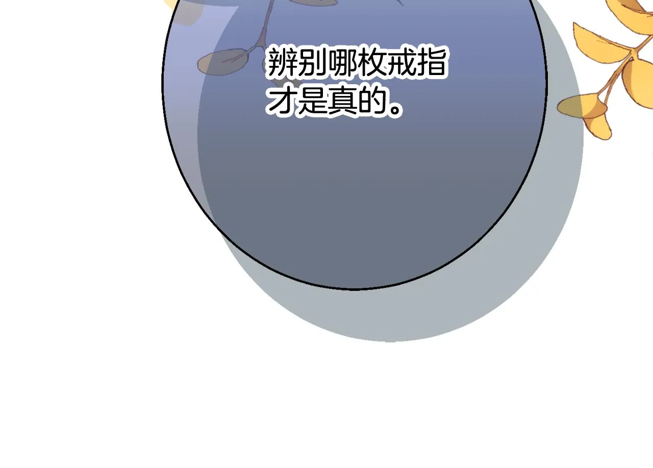 第56话 沙漠的太阳 第156页