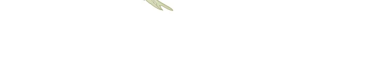第43话 你的名字 第160页