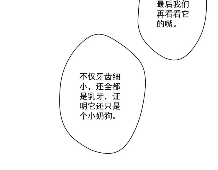 010 智斗绿茶 第33页