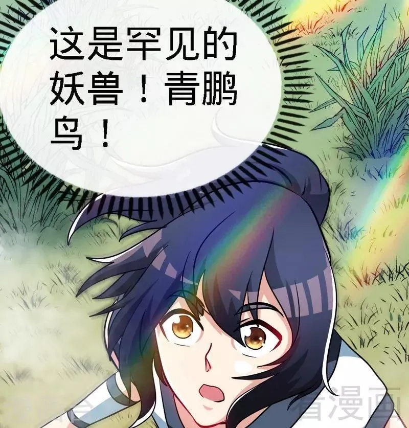 第64话 收服青鹏鸟 第11页