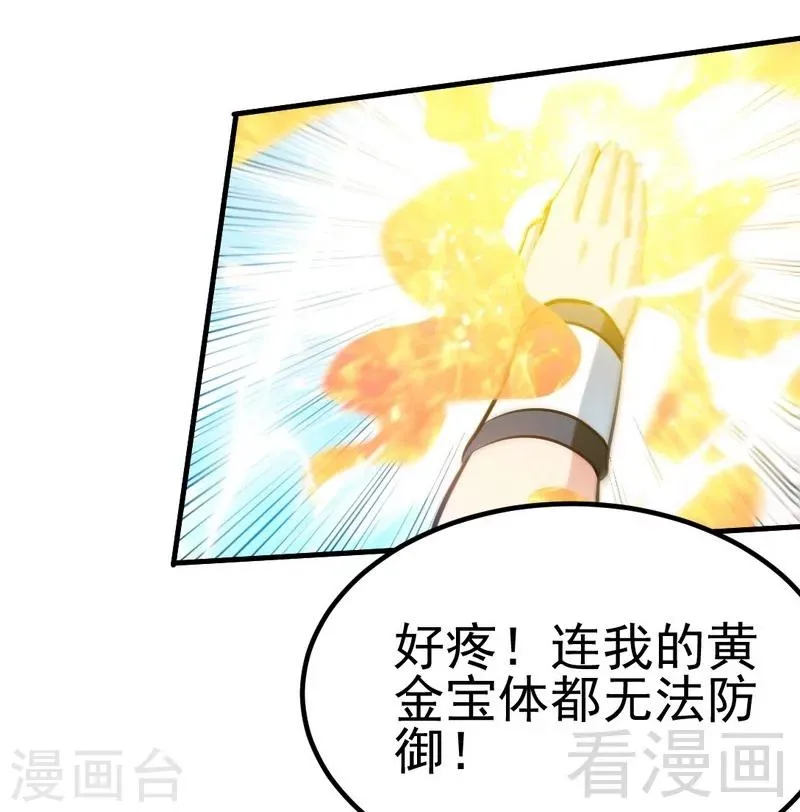 第97话 炼化四阳炎火 第3页