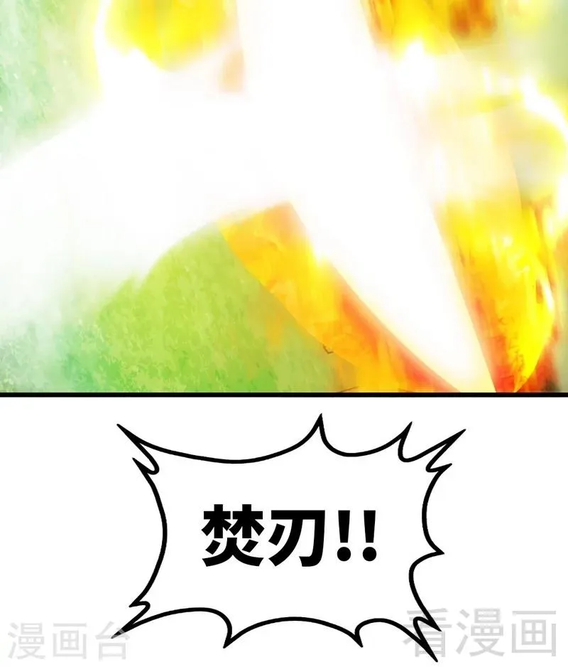 第100话 双杀武灵 第15页