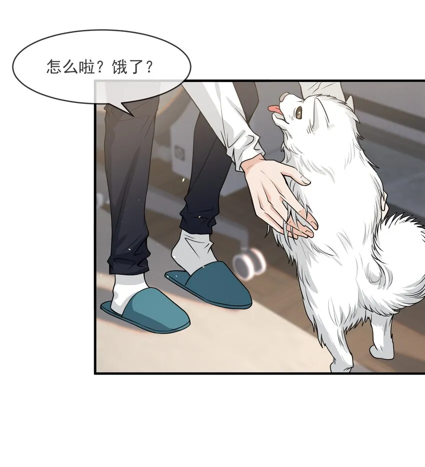 047 宝贝，保护好自己！ 第13页