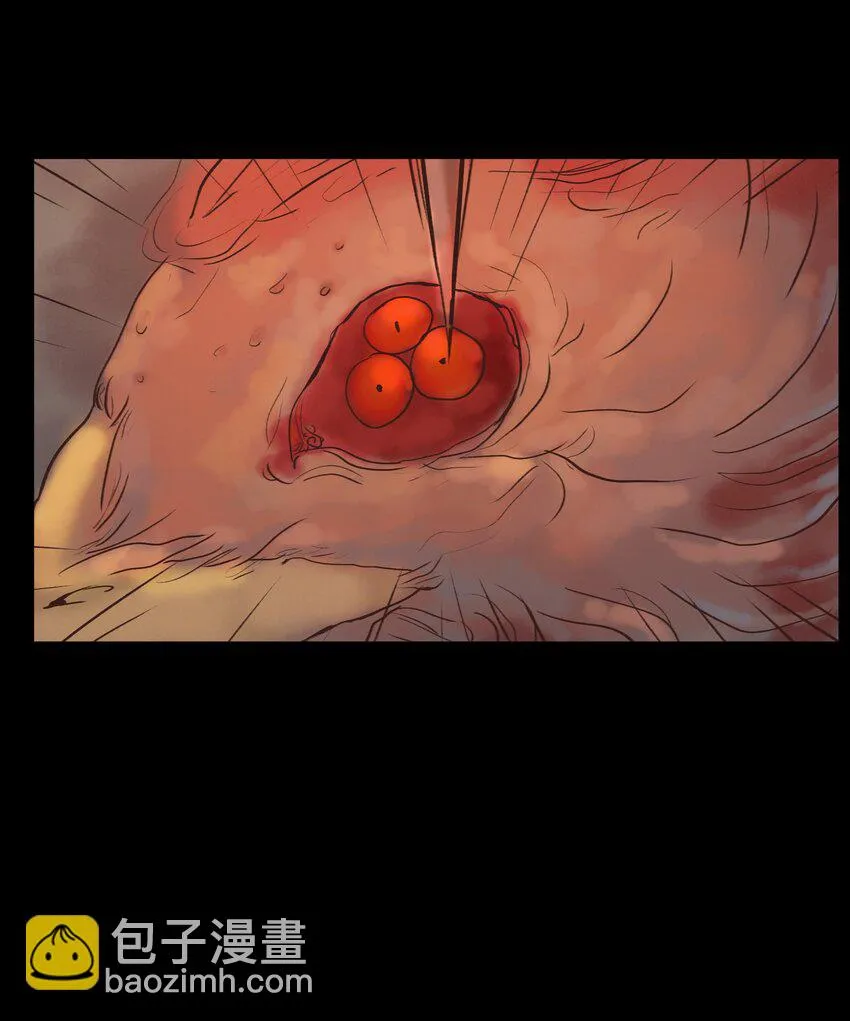 119 斗鸡 第55页