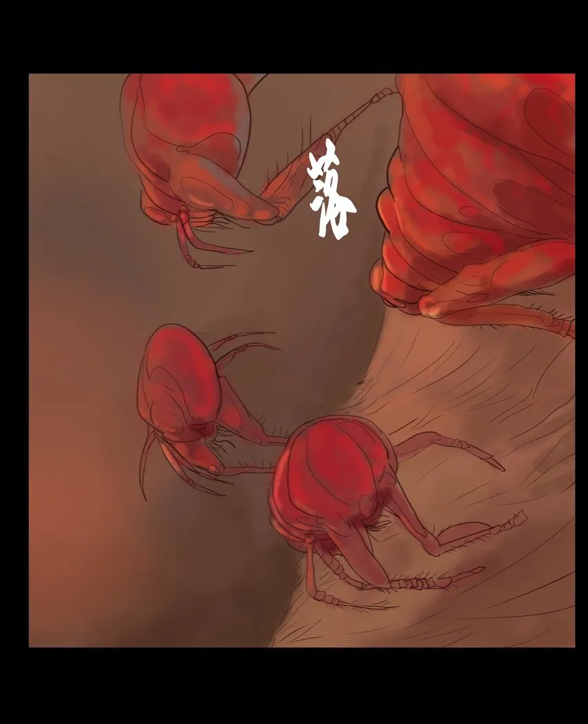 123 跳蚤 第34页