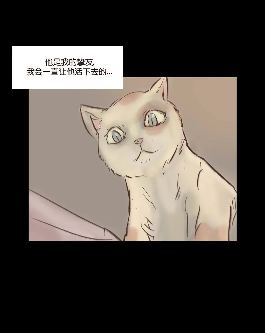 081 记忆 第15页
