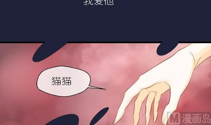第47话 猫的报恩与死亡 第3页