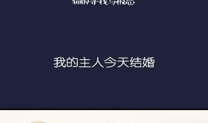 第46话 猫的寻找与报恩 第2页