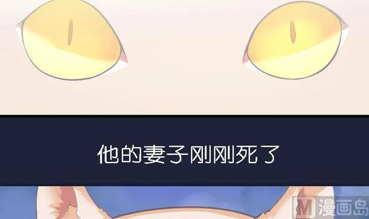 第46话 猫的寻找与报恩 第3页