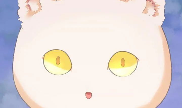 第46话 猫的寻找与报恩 第4页
