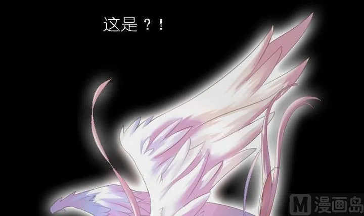 第46话 猫的寻找与报恩 第6页