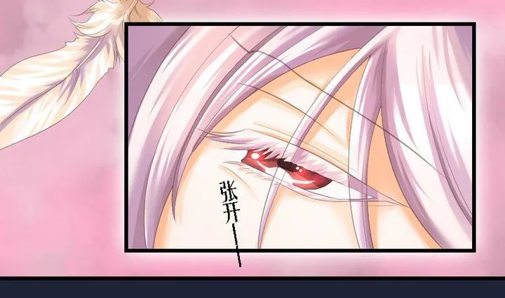 第46话 猫的寻找与报恩 第13页
