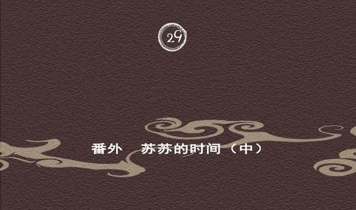 第29话 番外 苏苏的时间 中 第2页