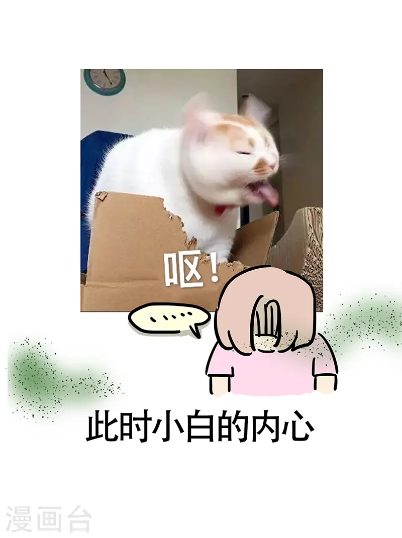 第24话 郊区健身房3 第12页