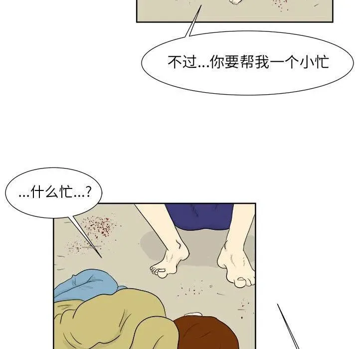 26 第21页