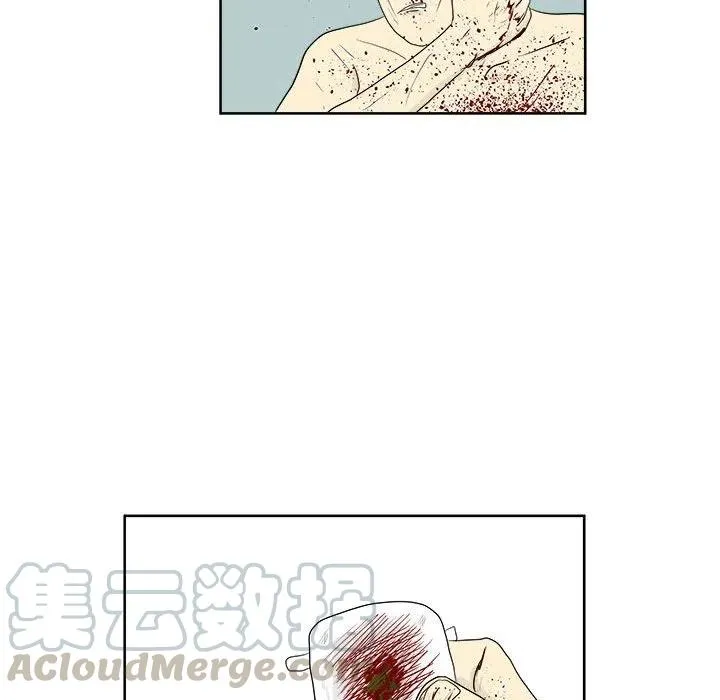 26 第55页