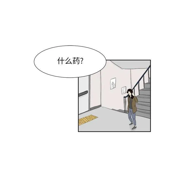25 第51页