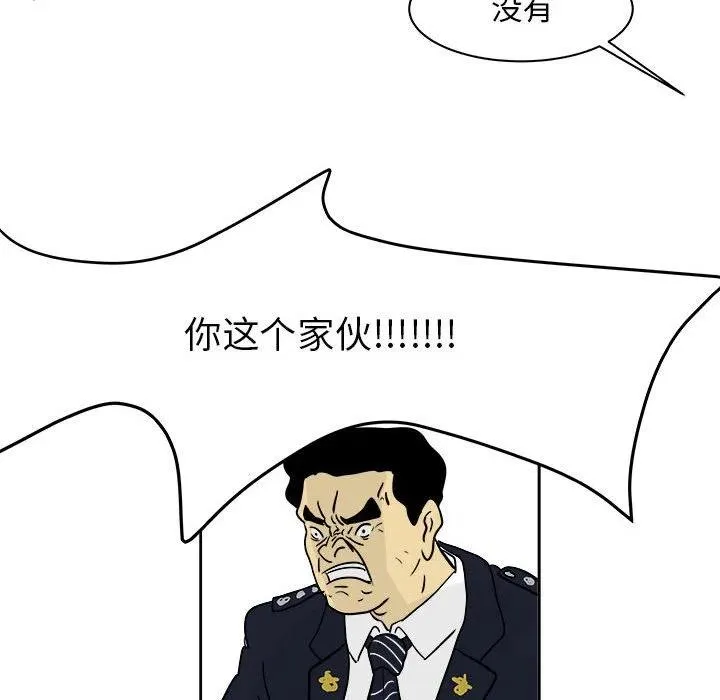 20 第48页