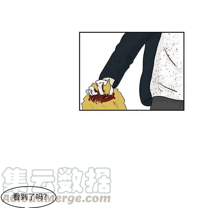 19 第7页