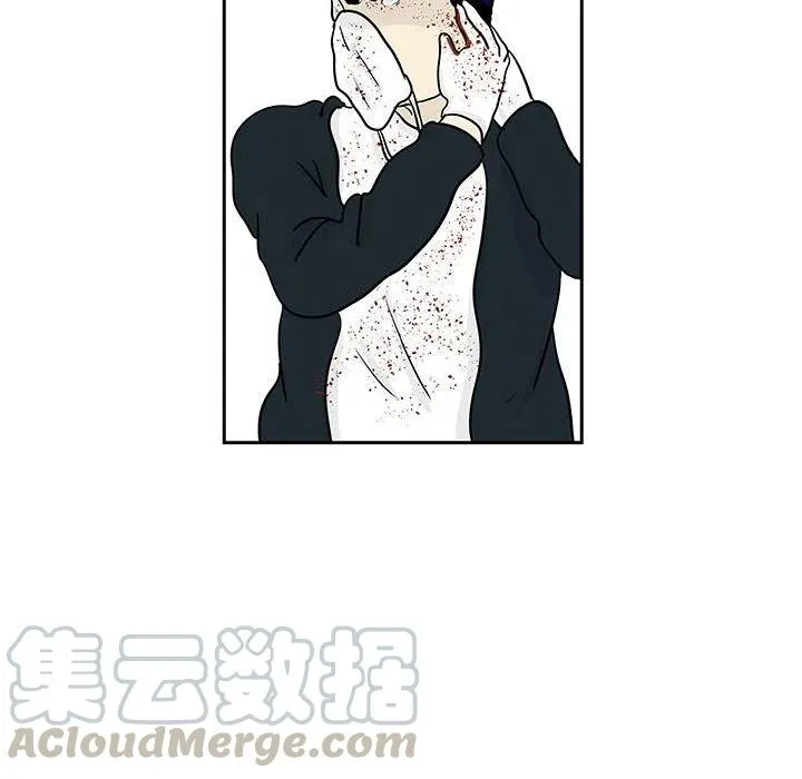 19 第43页