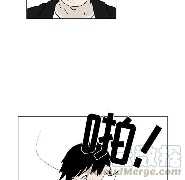 17 第31页