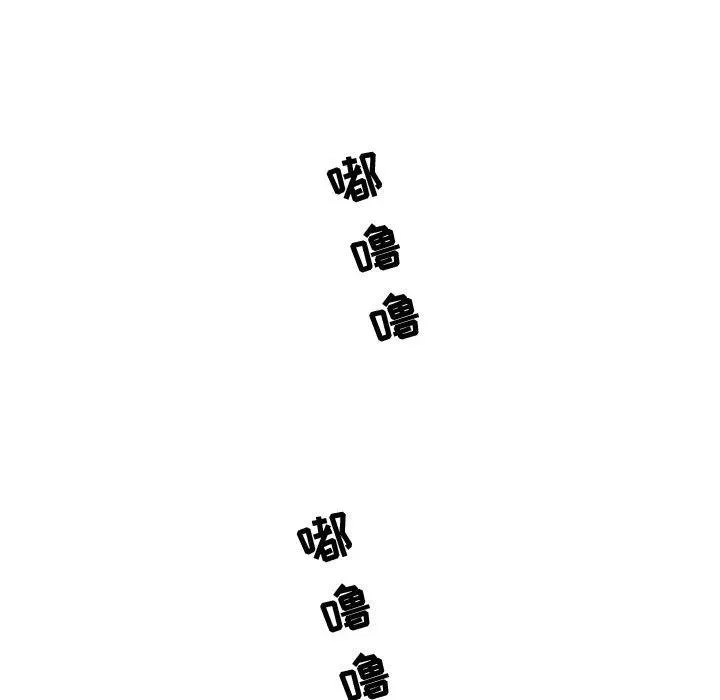12 第15页
