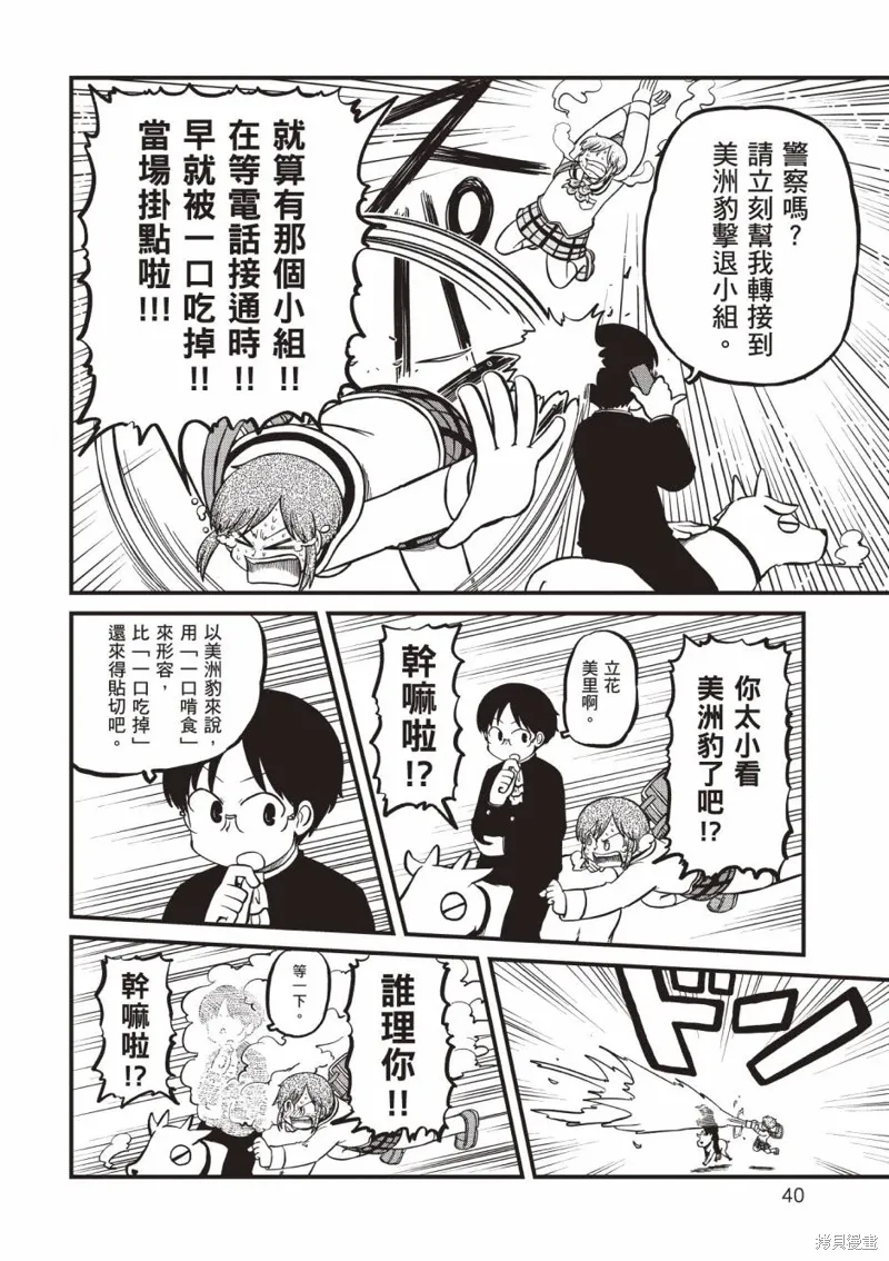 第11卷 第41页
