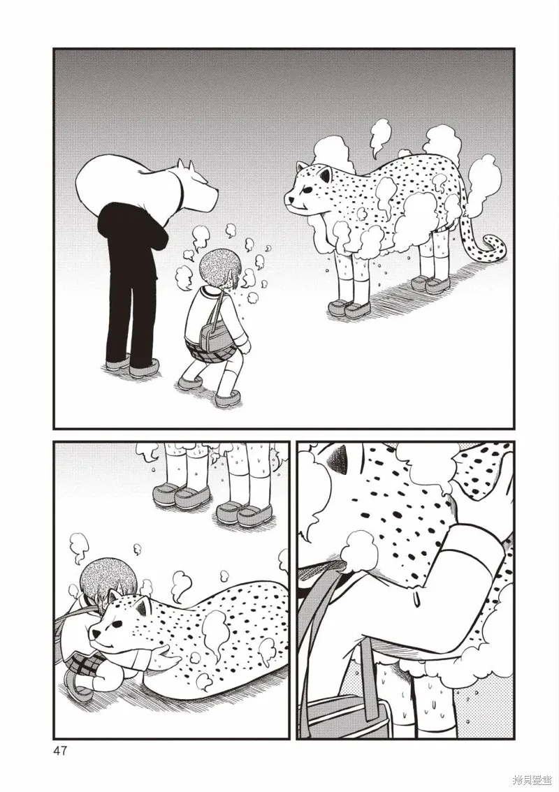 第11卷 第48页