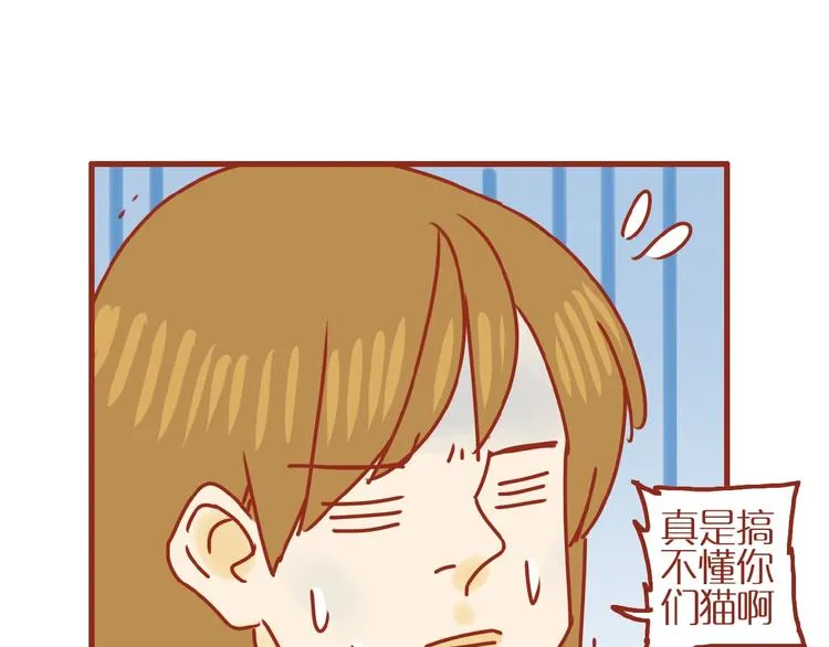 第18话 完结篇变成更好的自己 第14页