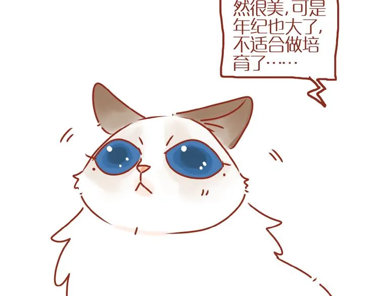 第18话 完结篇变成更好的自己 第29页