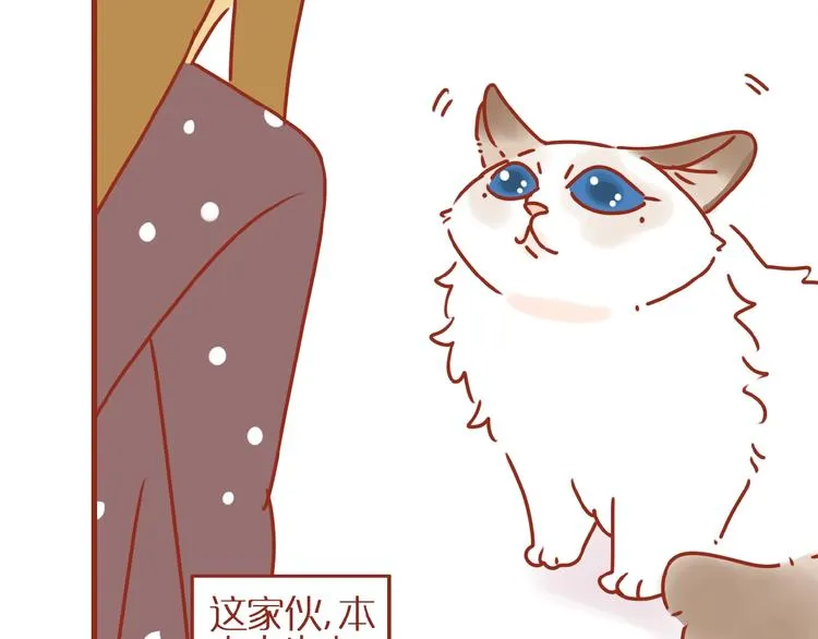 第18话 完结篇变成更好的自己 第47页