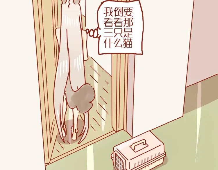 第18话 完结篇变成更好的自己 第59页