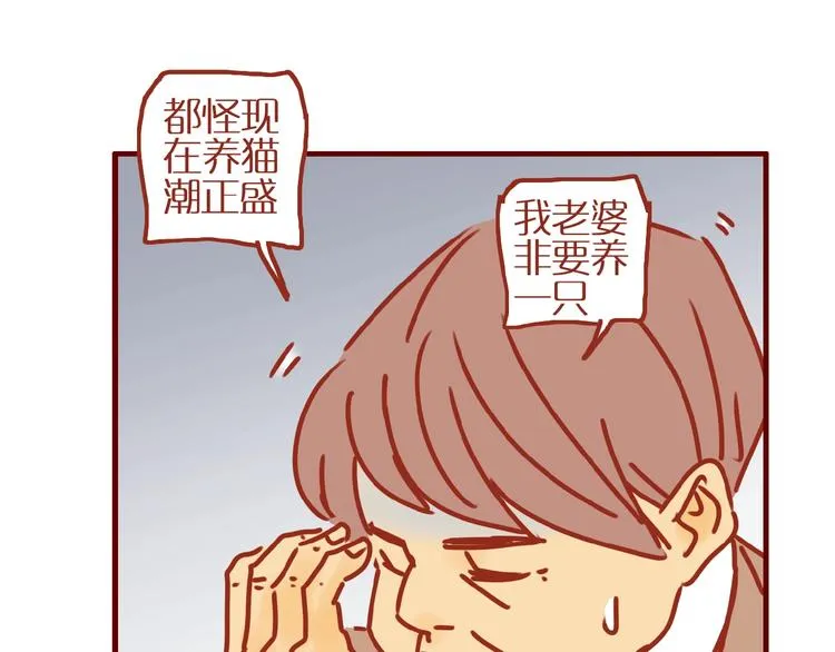 第17话 这猫不得了 第44页