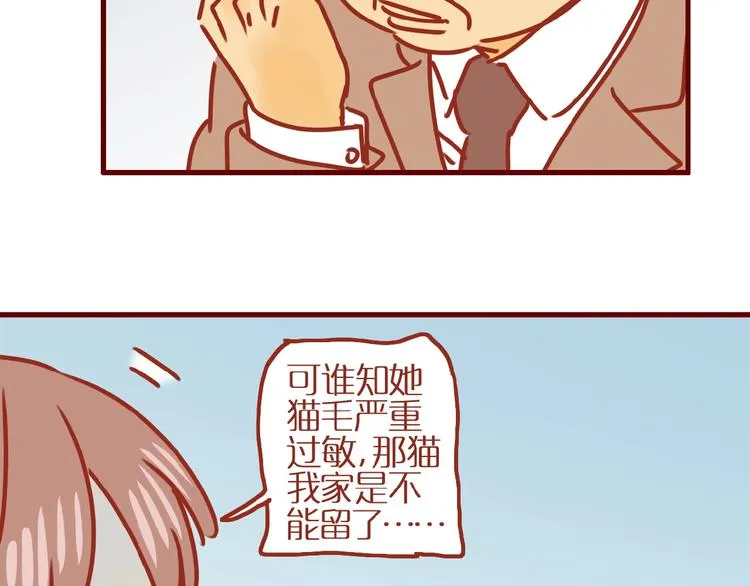 第17话 这猫不得了 第45页