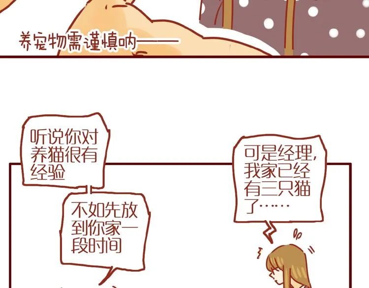 第17话 这猫不得了 第47页