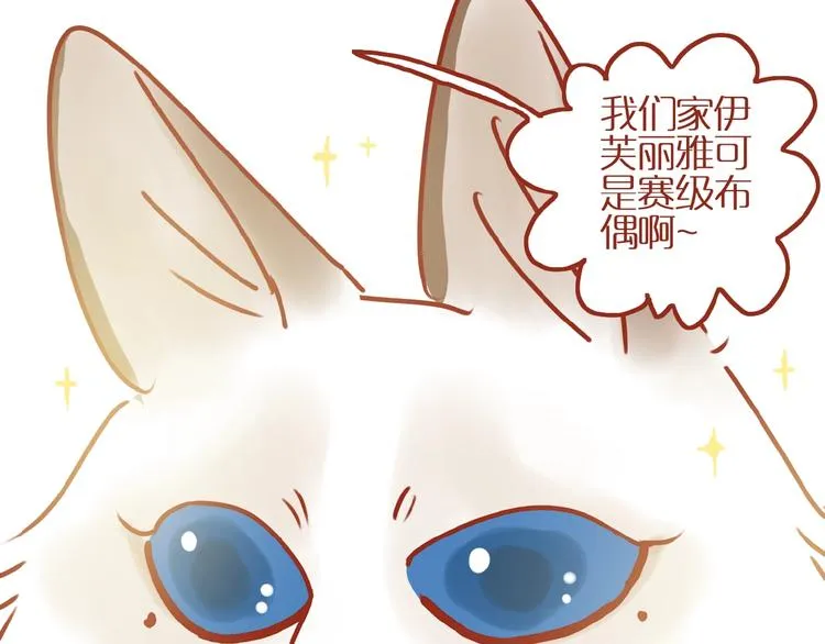 第17话 这猫不得了 第54页